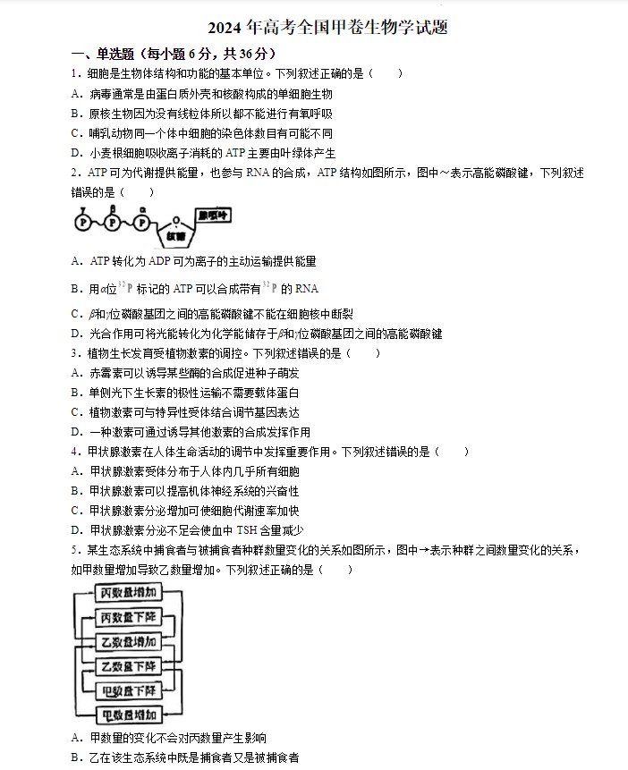 灵魂筹码荼蘼花事2025版新增戏法师角色