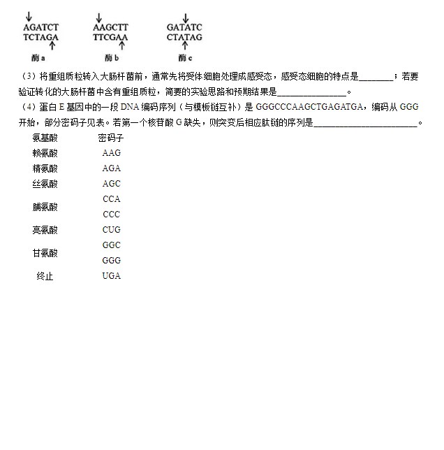 小熊洗车APP
