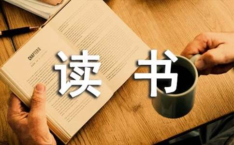 博王互动appV4.7专业版