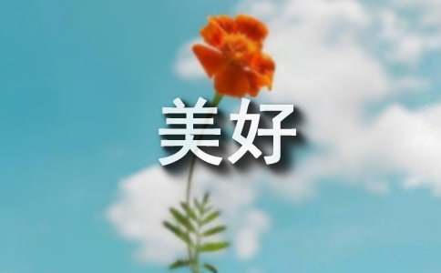 小熊洗车APP