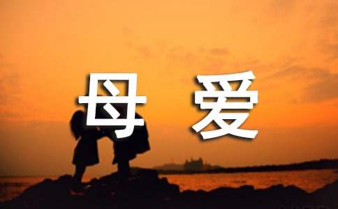 cuteftp pro中文修改版