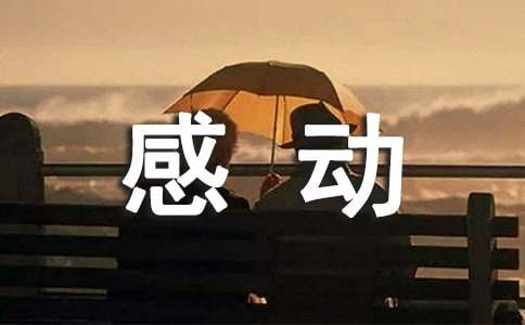 博之轮手机版2025最新版游戏主城场景