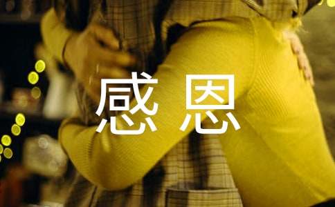 爱车e族手机版