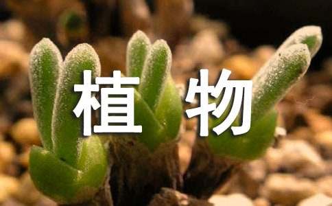 贵州药材APP