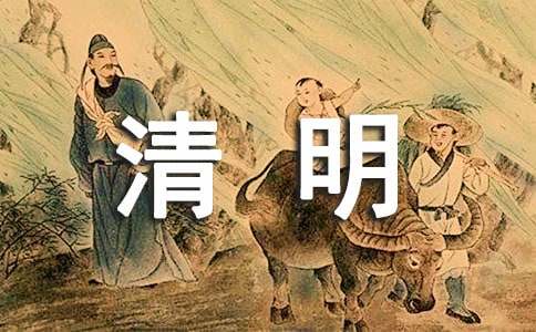 会说话的小猫