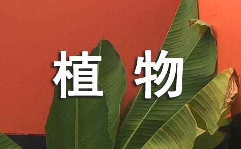 威泥斯人app
