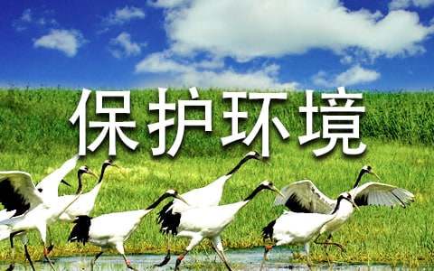 招商证券智远理财服务平台