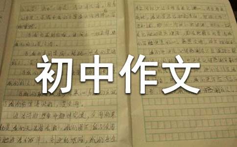 小熊洗车APP