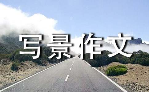 《太阳网城app》2025最新版丝绸之路贸易场景