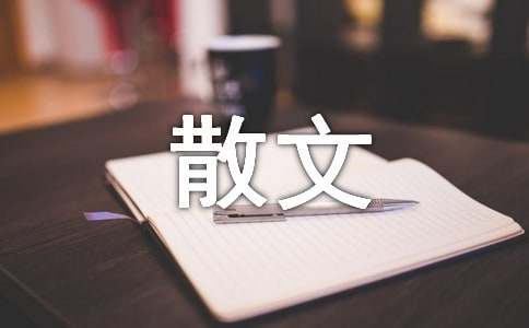 AGappV7.8专业版