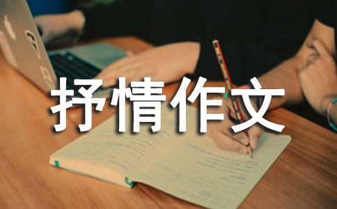 360时间保护器