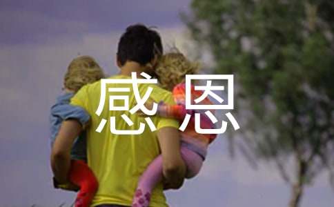网易游戏代号survive