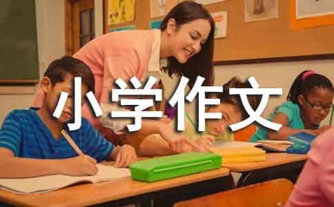 伟徳体育appV7.4专业版