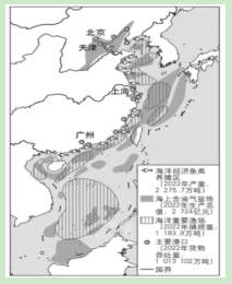 云开体育app最新下载官网2025版多人攻城战斗场景