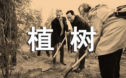 虎牙体育appV4.9专业版