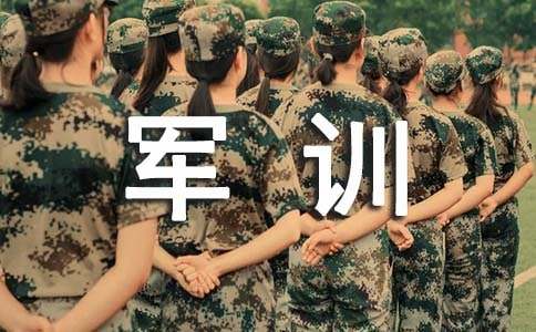 67体育网app2025版角色选择界面