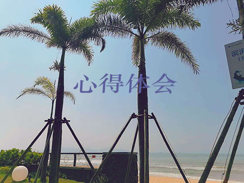 PPS游戏平台