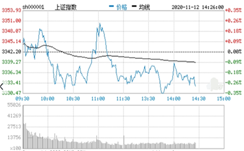 全信网官网2025最新版四人小队协同作战画面