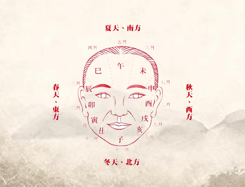 im体育网页版入口 最新版 装备打造与技能搭配界面