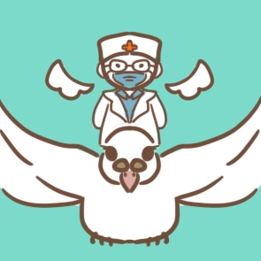 GetFLV中文修改版