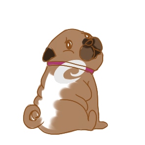 河南汽车维修平台APP