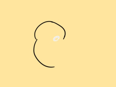 蒙纳简中黑体字体