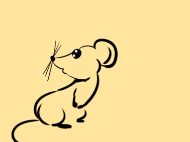 贵州药材APP