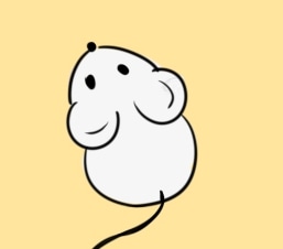 小熊洗车APP