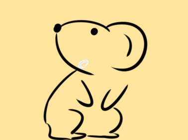 开云appV8.6专业版
