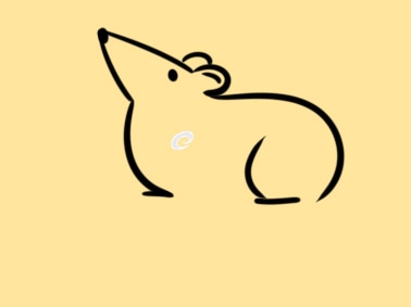 河南汽车维修平台APP
