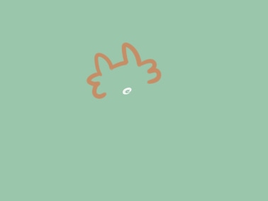 小熊洗车APP