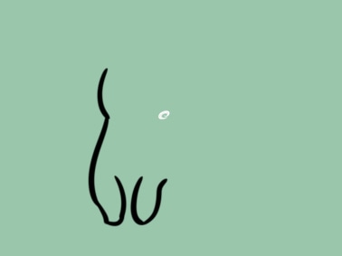 猫先生APPV9.3专业版