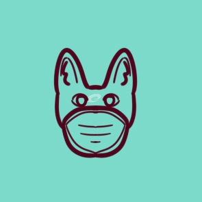 河南汽车维修平台APP