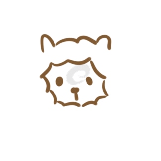 现金球网登录V9.5专业版