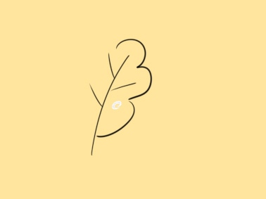 贵州药材APP