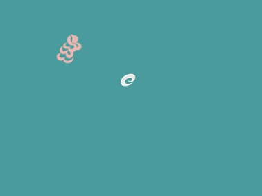 小熊洗车APP