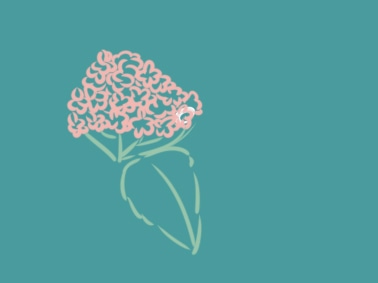 贵州药材APP