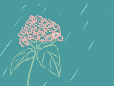 河南汽车维修平台APP