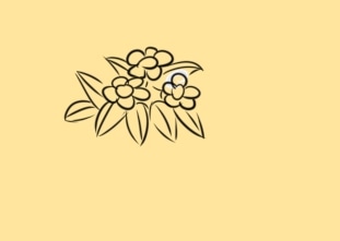 金梅浪漫闪电字形