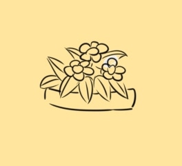 kaiyun体育app网页版登录V1.1专业版