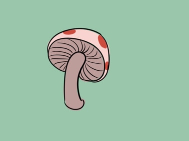 河南汽车维修平台APP