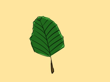 世纪计划app