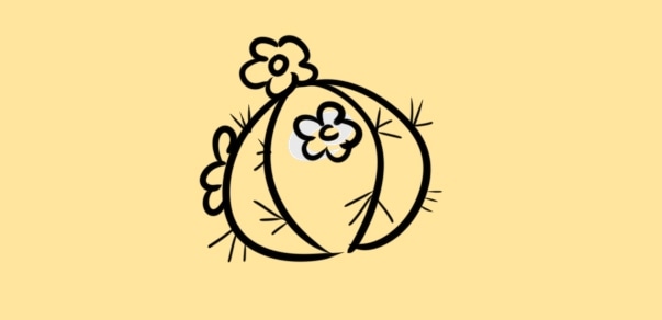 贵州药材APP