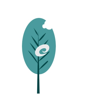 开云网页版在线登录app