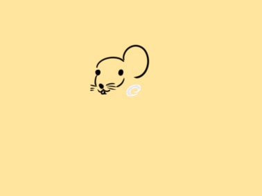 小熊洗车APP