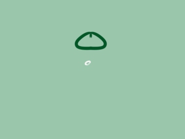 小熊洗车APP
