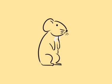 小熊洗车APP