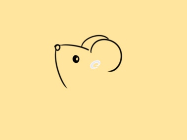 贵州药材APP