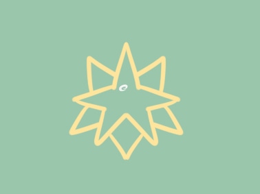 电竞押注APP