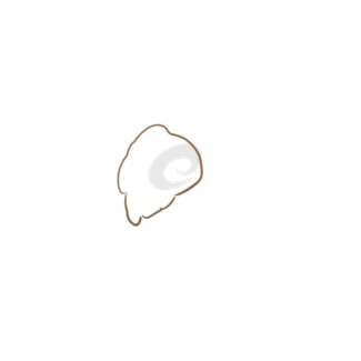 贵州药材APP